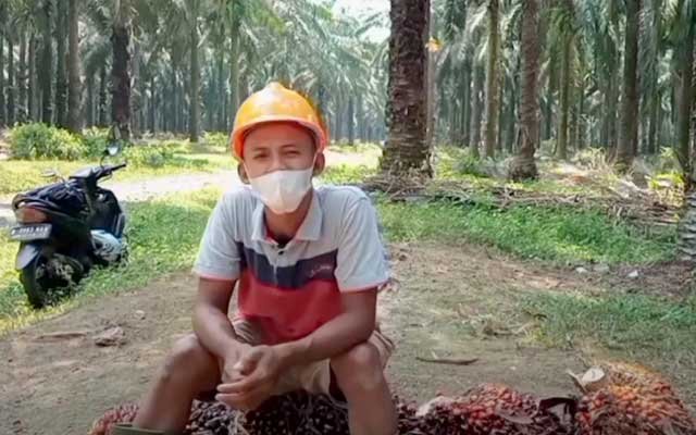 Hopes of Farmers Who Depend on Palm for Their Lives
