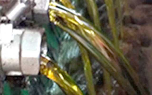 KPPU : 27 Palm Cooking Oil Companies which in Piling Status