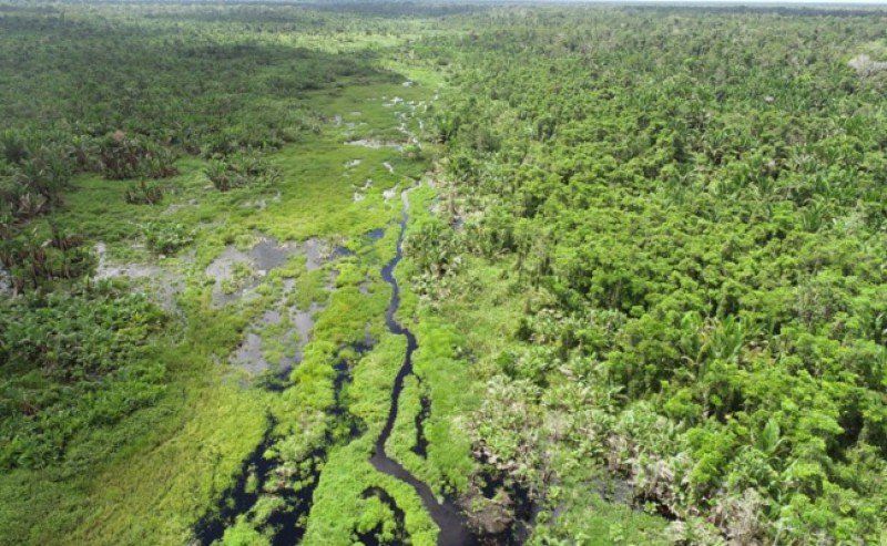 ANJ’s Environmental Rank Escalatees in CDP Version