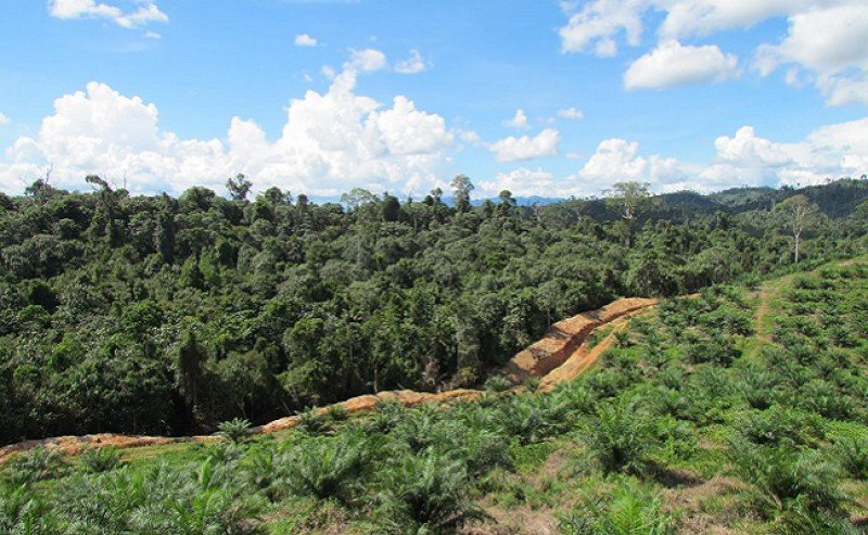 DSNG ‘s Stocks Are in Two Indexes in ESG Category