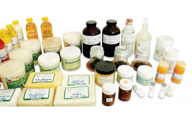 Downstream Development Widely Opens