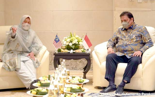 Palm Oil Becomes the Solution to the World's Energy and Food Crisis