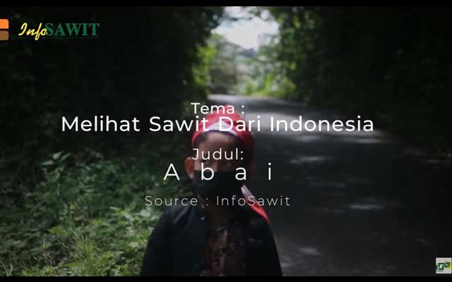 Seeing Oil Palm from Indonesia