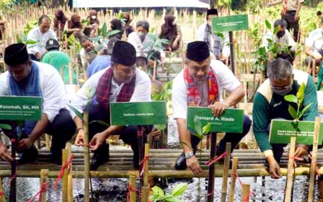 Apical Group and DKI Province Plant 3000 Mangroves to Celebrate DKI Jakarta Anniversary