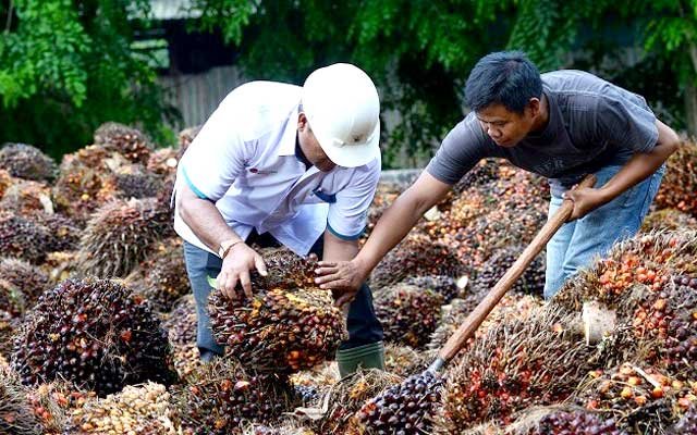 Corruptive Gap is Available Without Clear Audit of Business Rights