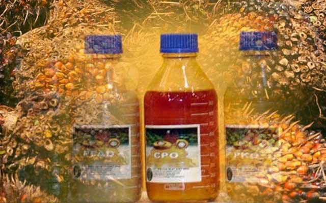 Get Cheaper, CPO and PK in West Sumatera on 22 - 30 June 2022