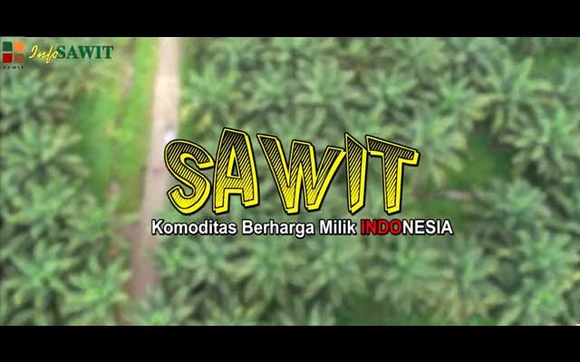 Indonesia's Precious Commodity Palm Oil