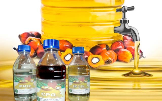April - May 2022, Palm Oil Industries Flare Up: The Smallholders Got Loss