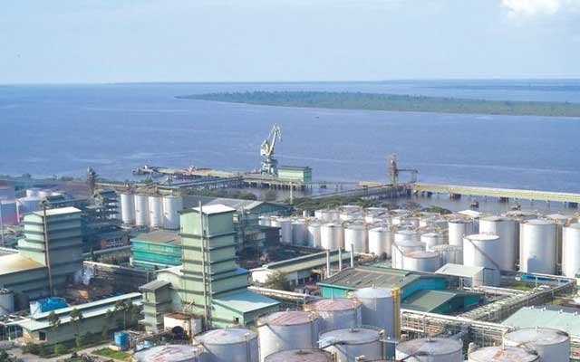 Received approval, 179 thousand tons of palm oil can be exported in early June