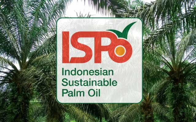 Requirements to Get ISPO Certification Fund for Smallholders
