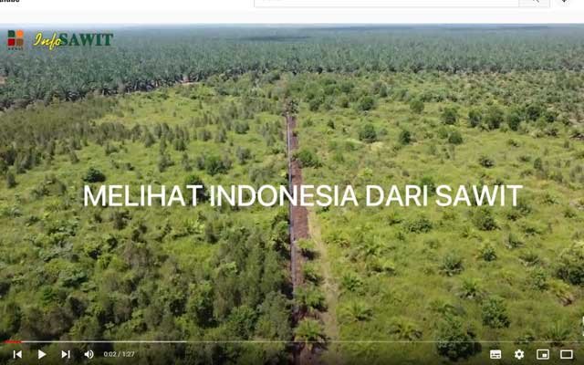 Seeing Indonesia From Palm Oil
