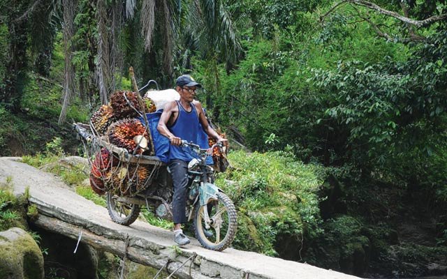 Smallholders’ Proposals The Most in Infrastructure Program