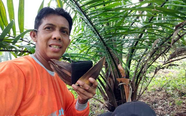 Smallholders in Bungo Hope the Government Cares For Them