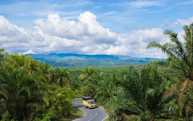 Transformation of DMSI into Dewan Sawit Indonesia