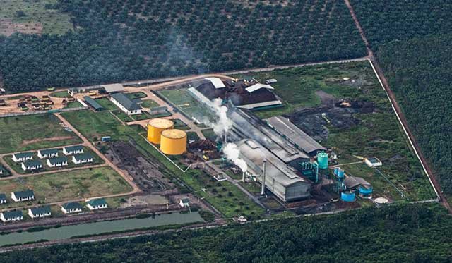 Urgent! The Mills Do not Need Government’s Subsidy