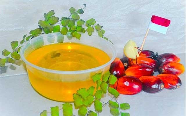 Slightly Increased, CPO Tender at KPBN on 3 October