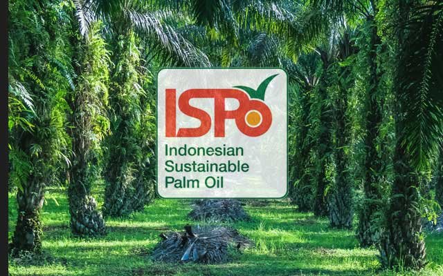 PTPN V Took about 5.000 Plasma Smallholders to get ISPO Certificate