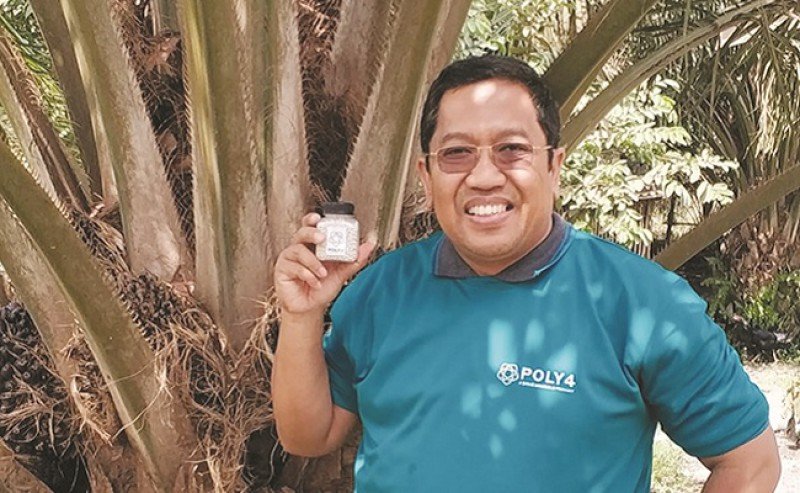 To Get Increasing Production, Select the Right Fertilizer