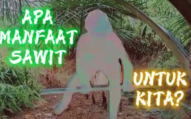 What are the Benefits of Palm Oil for Us